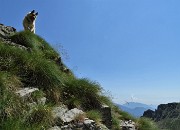 57 Brava Dori che scopri il giusto sentiero davanti a noi
